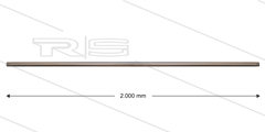 RP201 lans - L=2000mm - recht - RVS - 400 Bar - max 150°C - 2 x 1/4" bu