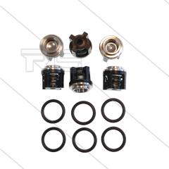 AR kit 2780 - Kleppenset (6x) - serie 194 + 402