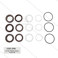 AR kit 2783 - Manchetset Ø22mm voor 3 plunjers - serie 194 + 402